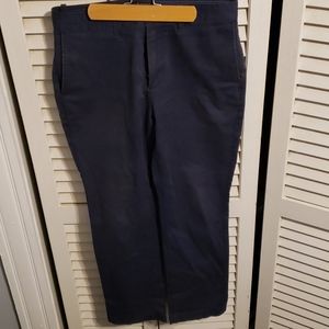 Banana Republic Aiden Pant in Navy